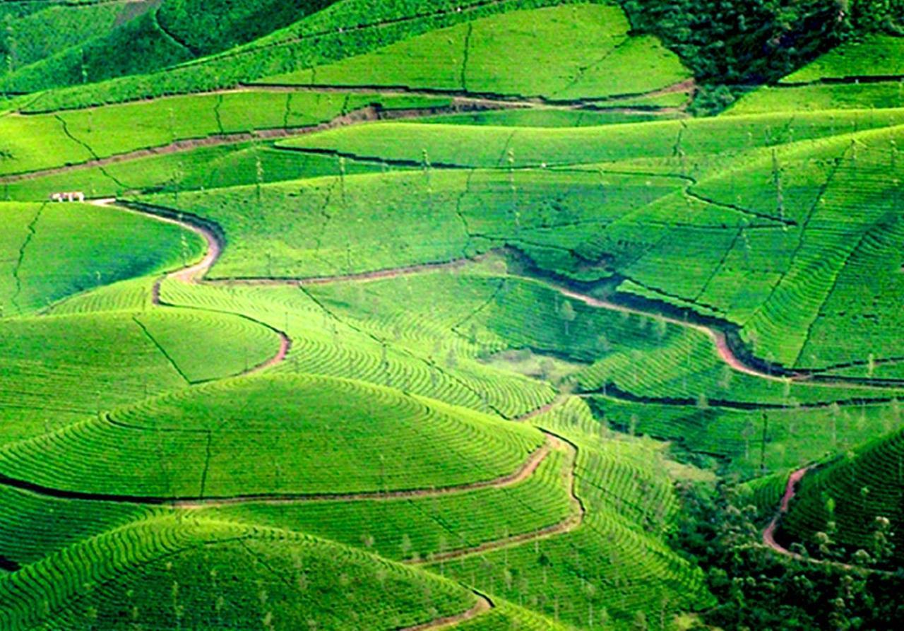 Viduthi Homestay Munnar Εξωτερικό φωτογραφία
